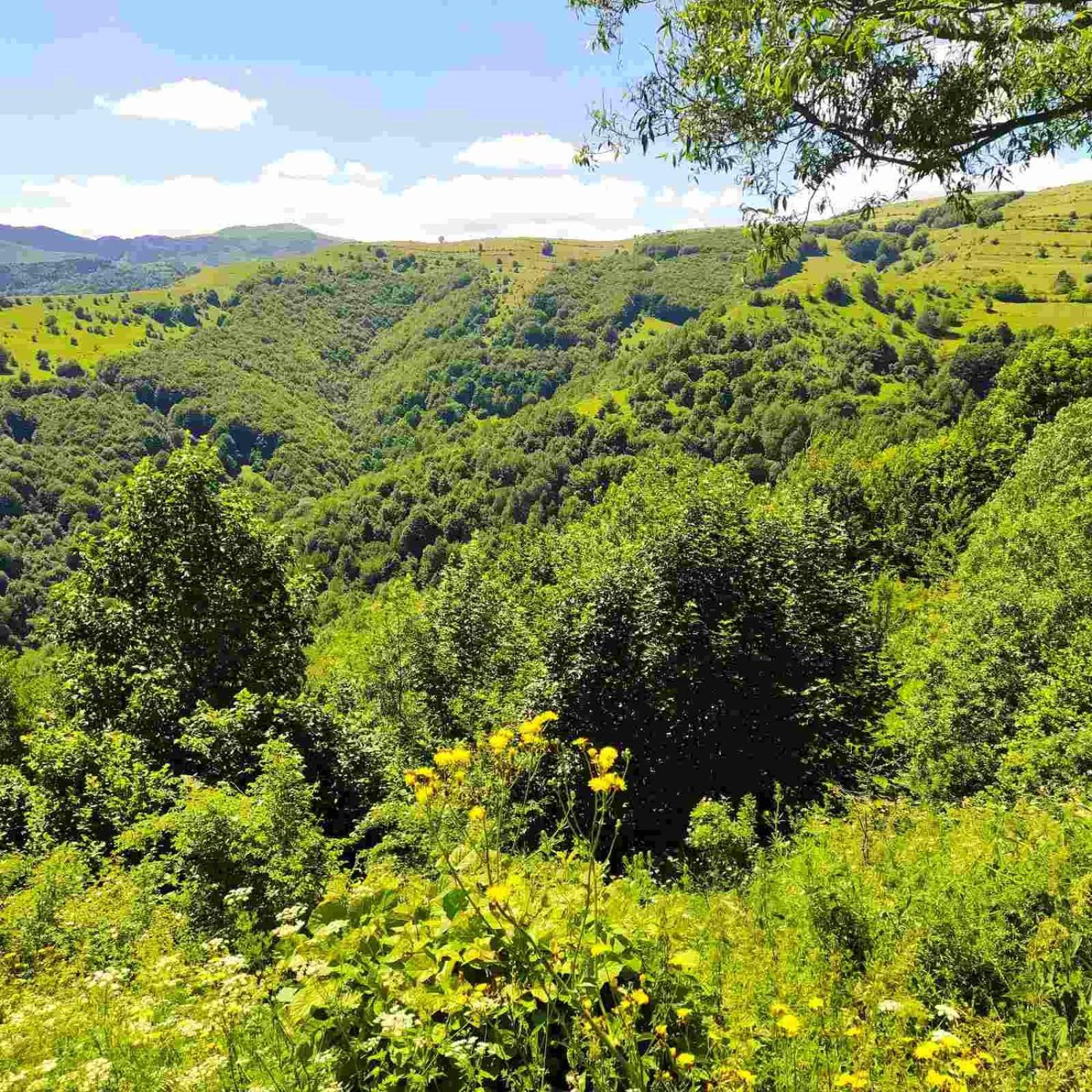 Holiday Home Vila Bjelašnica Екстериор снимка